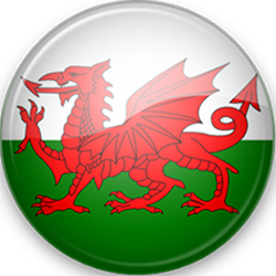 Wales vs Estonia: Easy three points for the Welsh