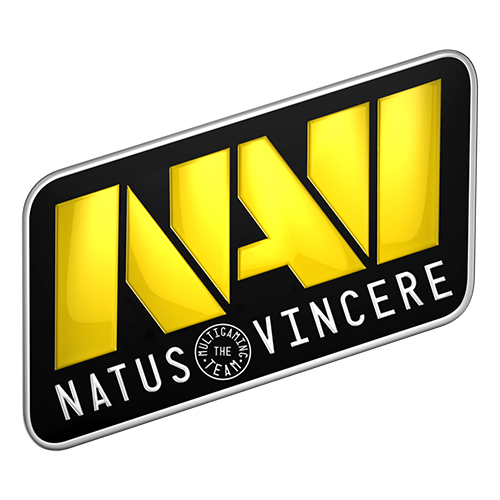 Team Falcons vs Natus Vincere Prediction: NaVi is more professional than their opponents