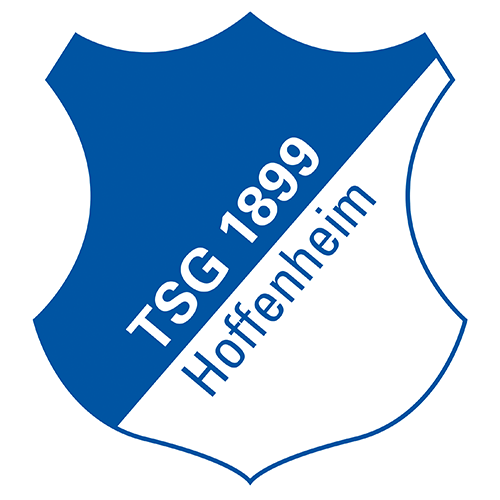 FSV Mainz 05 vs TSG 1899  Hoffenheim Prediction: Goals expected from both sides