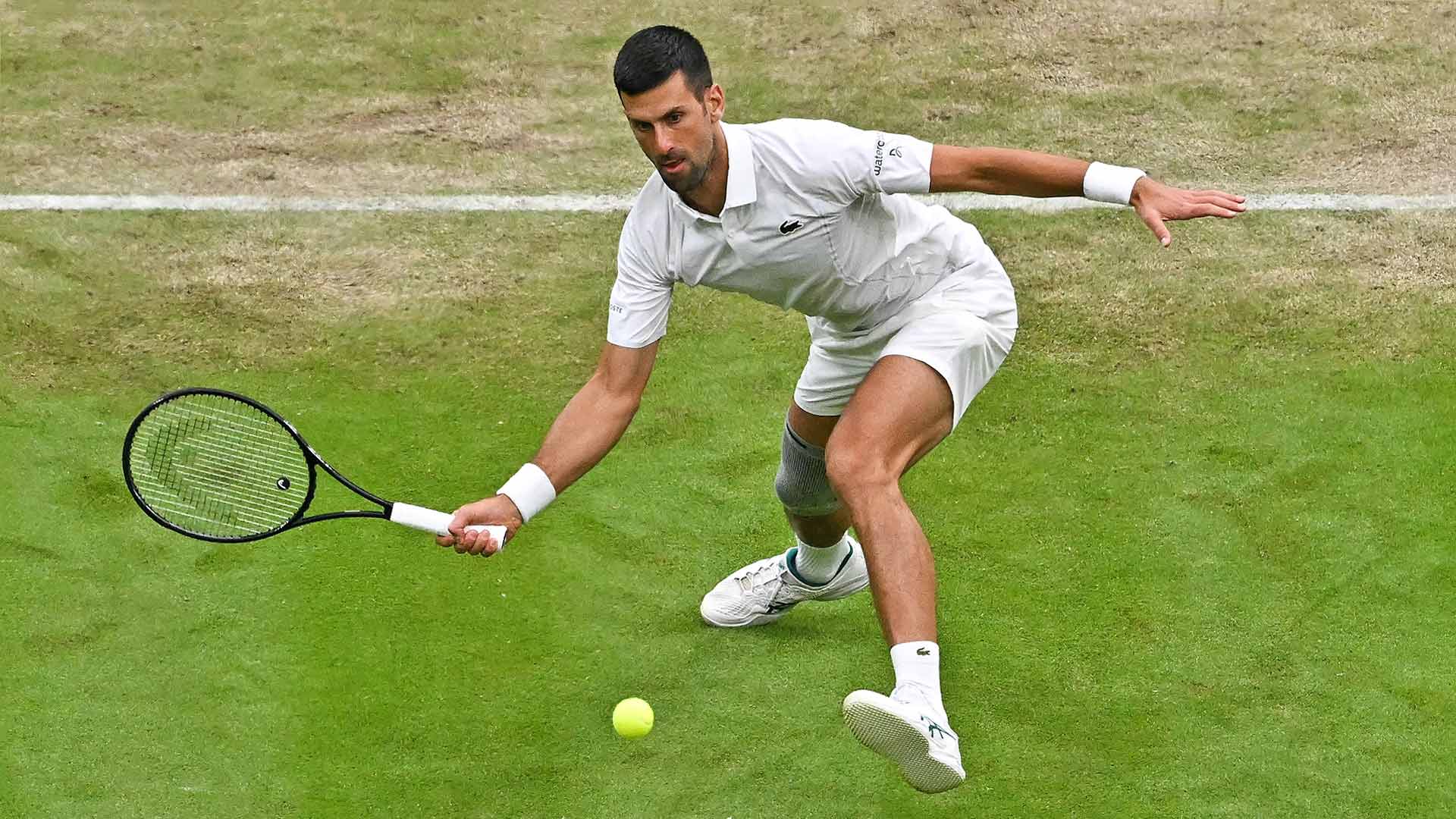 Holger Rune x Novak Djokovic: Palpites e onde assistir - Wimbledon - 08/07/2024