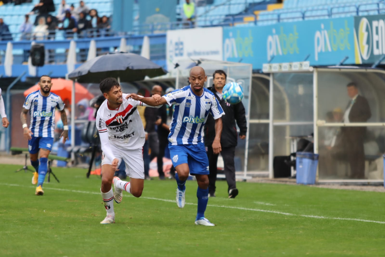 Avaí x Botafogo-SP: palpites, onde assistir e escalações  - 30/07/2024