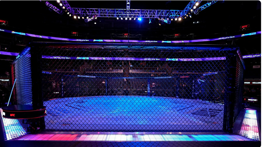 UFC relata queda na receita do terceiro trimestre de 2024