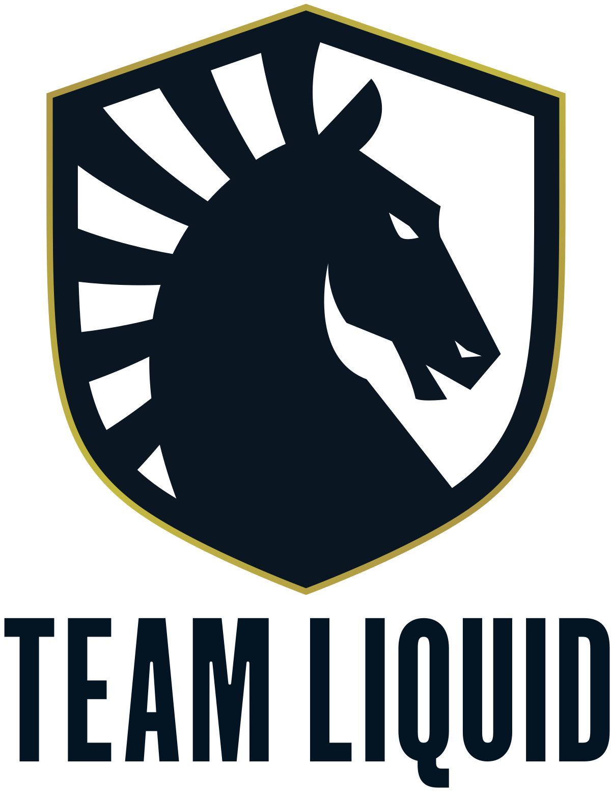 Team Liquid