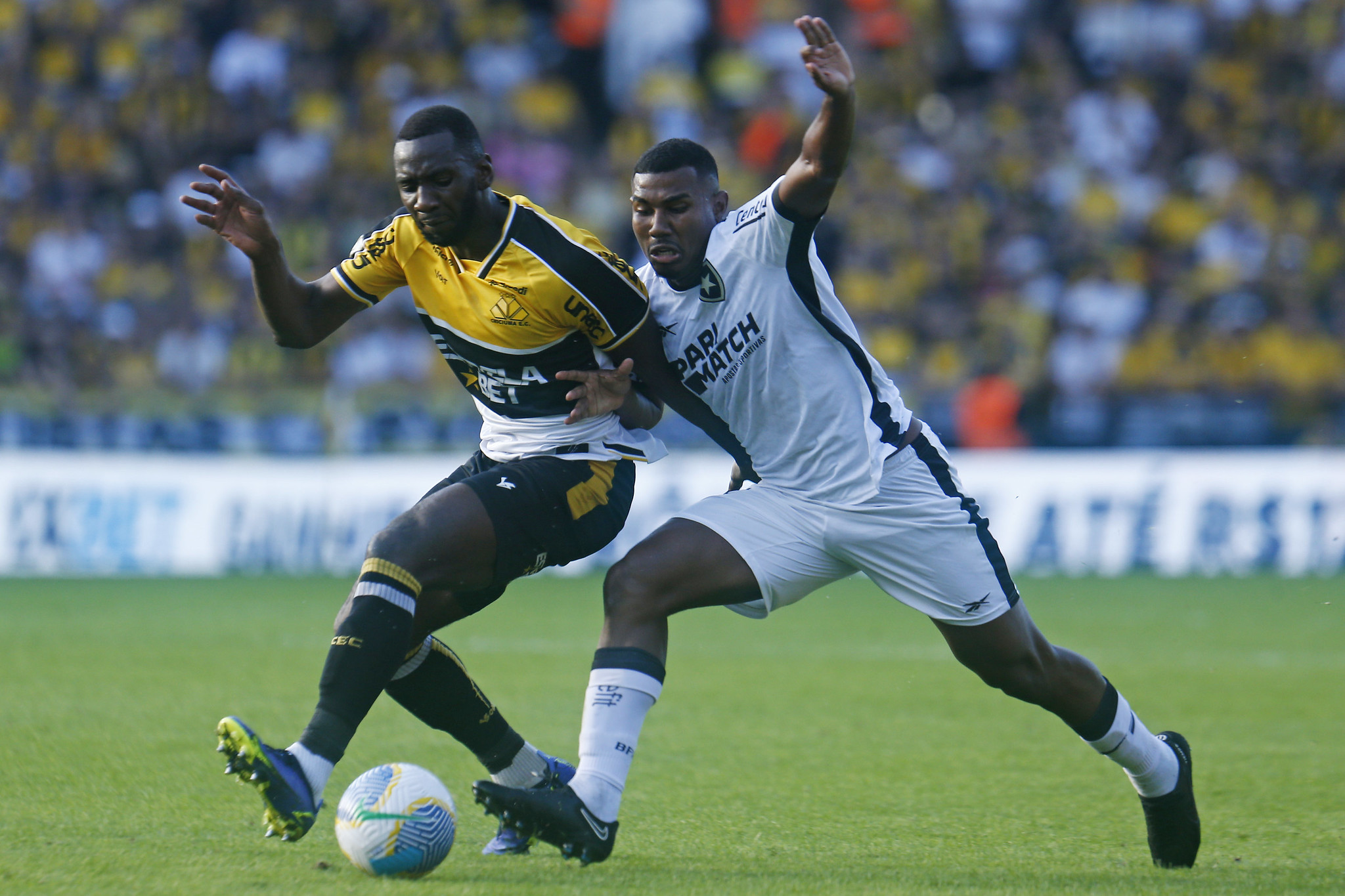 Botafogo x Criciúma: palpites, escalações e onde assistir - 18/10/2024