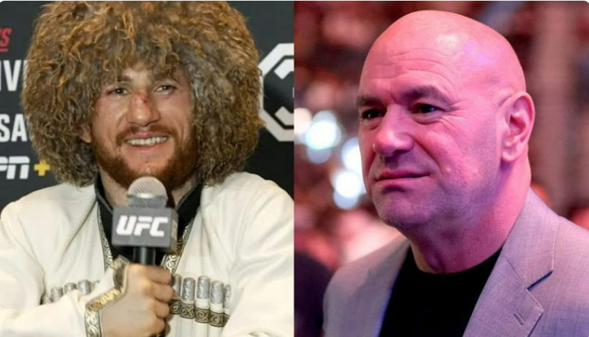 Dvalishvili responde aos insultos do presidente do UFC, Dana White