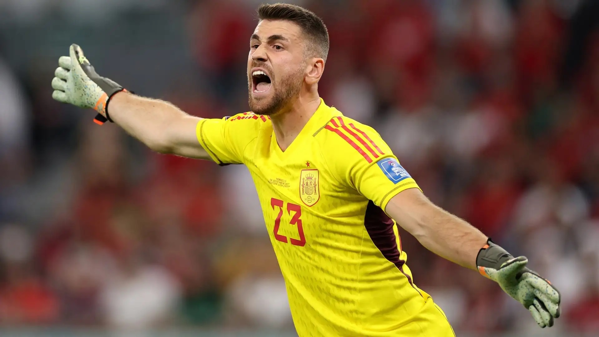 O goleiro da Espanha joga na Eurocopa com uma lesão na mão que sofreu há um ano