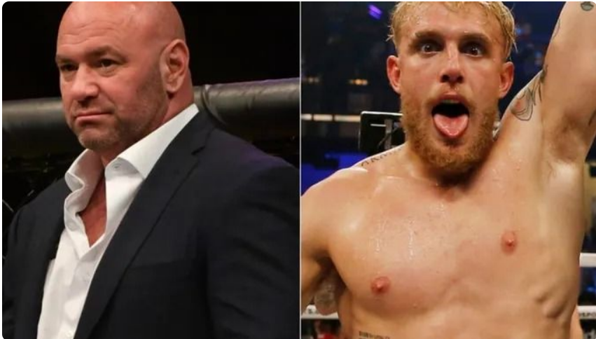 Jake Paul: McGregor é refém de Dana White