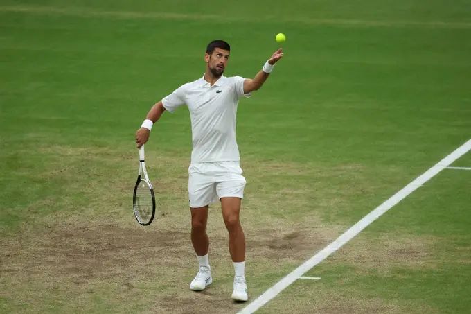 Holger Rune vs Novak Djokovic. Pronóstico, Apuesta y Cuotas | 8 de julio de 2024