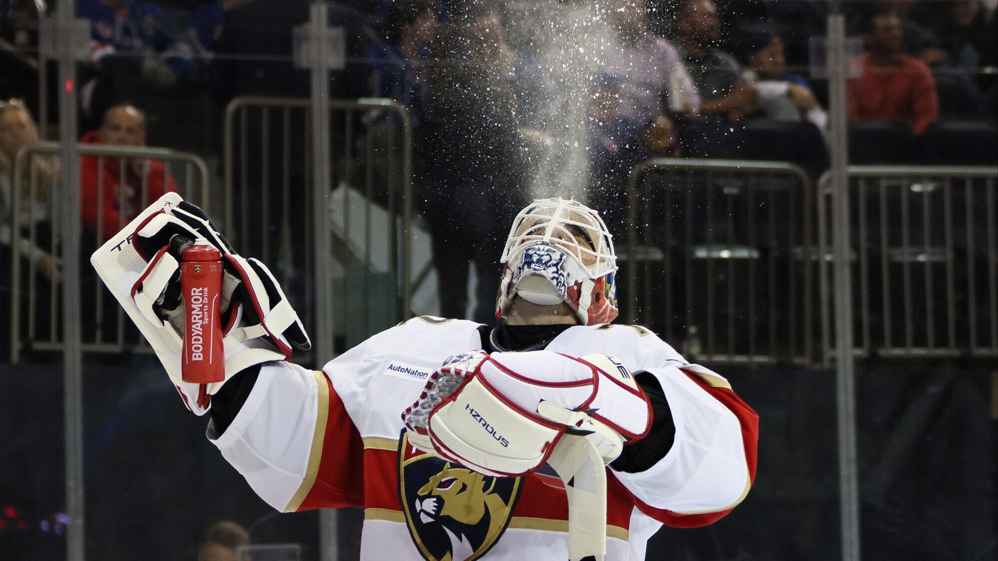 Florida Panthers vs. Dallas Stars. Pronóstico, Apuestas y Cuotas│2 de noviembre de 2024