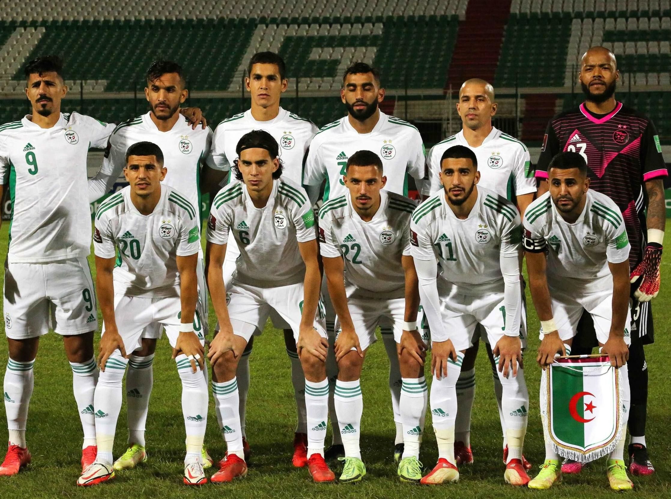 Equatorial Guinea vs Algeria Prediction, Betting Tips & Odds | 14 NOVEMBER, 2024 