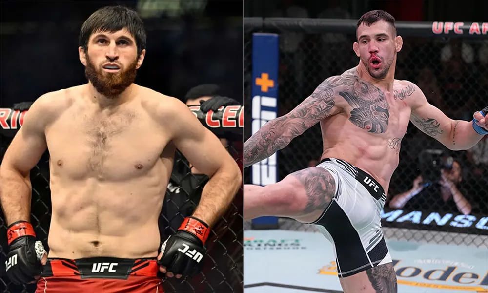 Magomed Ankalaev vs. Aleksandar Rakic: Preview, Where to Watch and Betting Odds