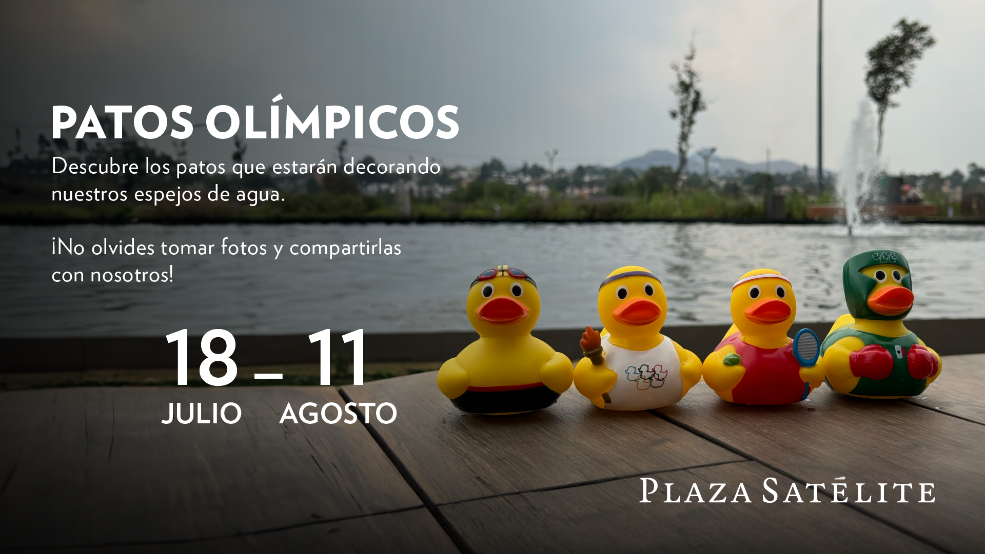 Los patos olímpicos inundarán el norte de la Ciudad de México