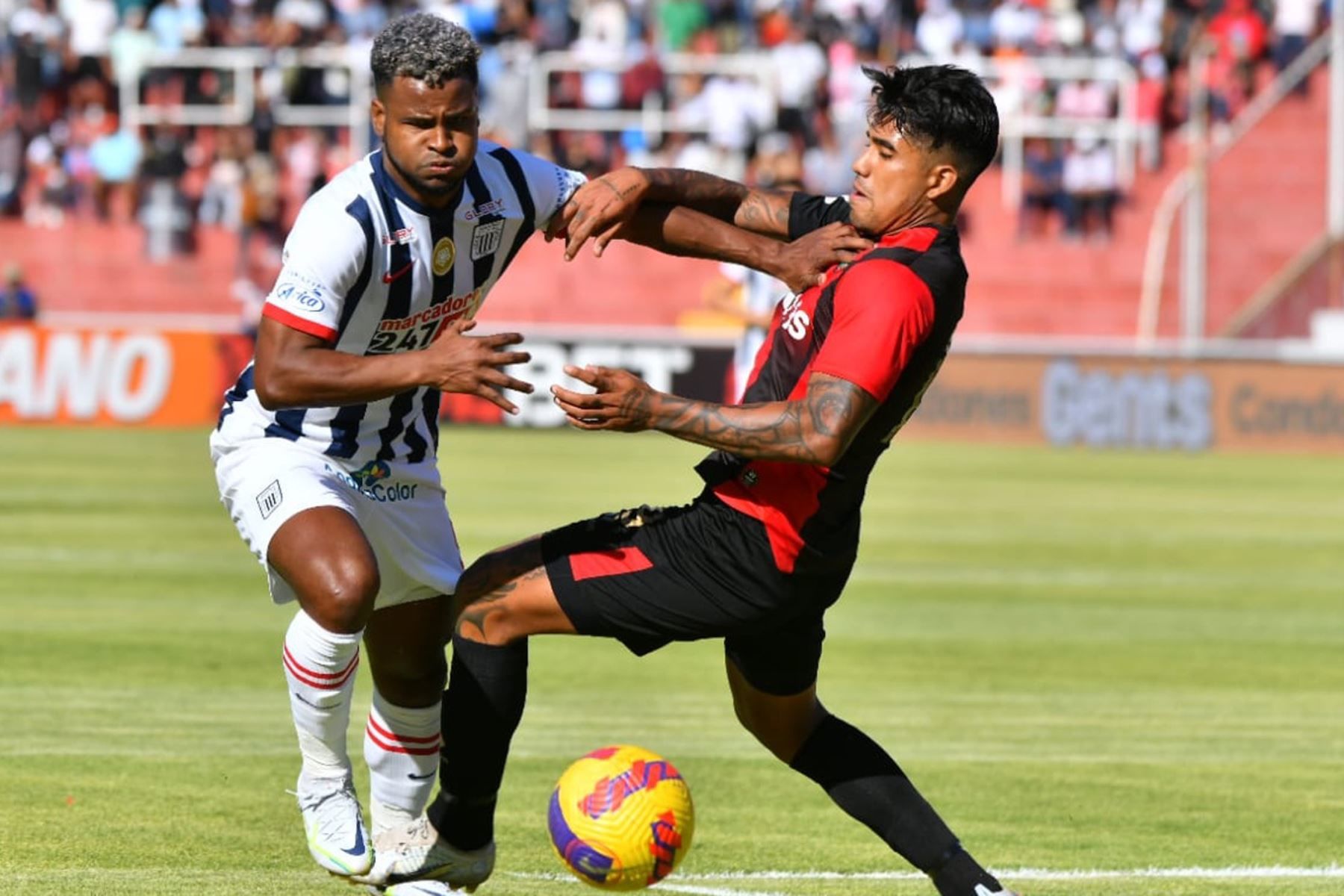 Alianza Lima vs. Melgar. Pronostico, Apuestas y Cuotas│29 de septiembre de 2024