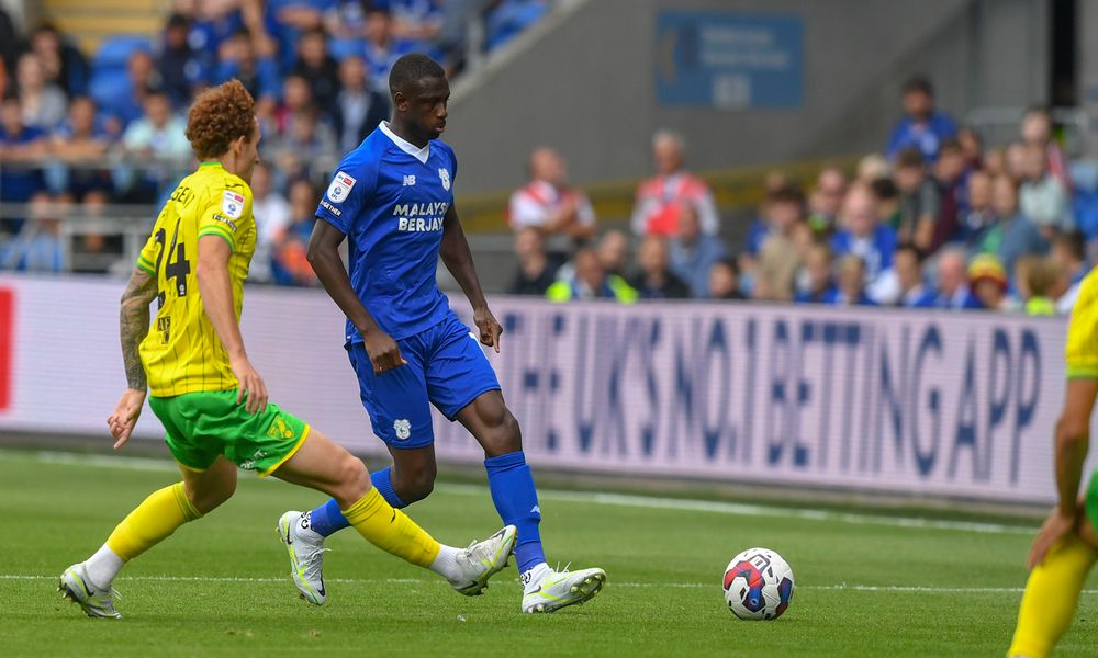 Cardiff City vs Norwich City Prediction, Betting Tips & Odds │2 November, 2024 