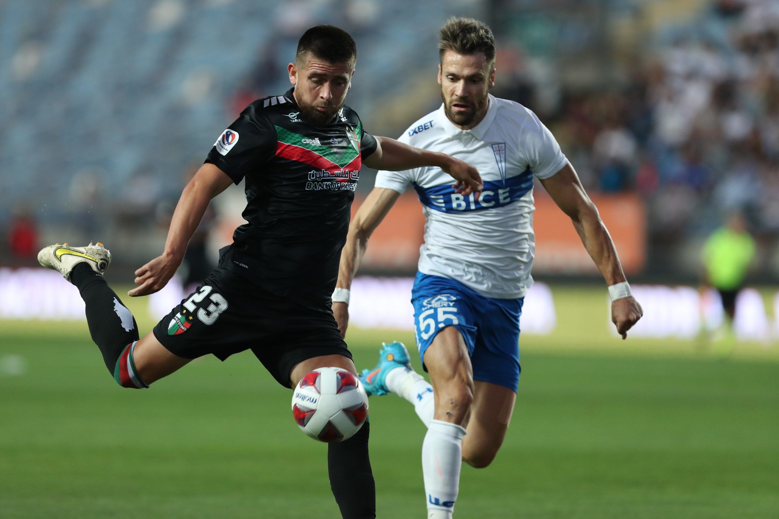 Palestino vs. Universidad Católica. Pronostico, Apuestas y Cuotas│13 de agosto de 2023