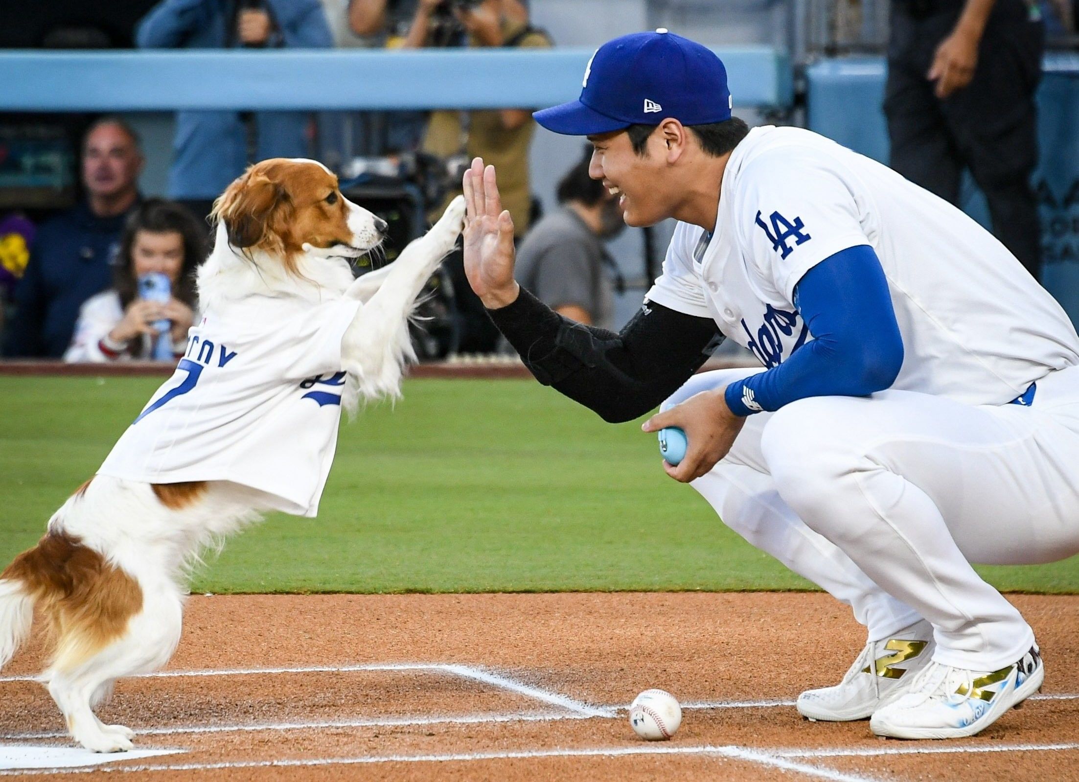 Un perrito lanzó la primera bola en la MLB