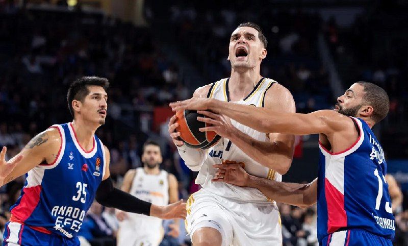 Real Madrid vs Anadolu Efes. Pronóstico, Apuestas y Cuotas│5 de enero de 2024