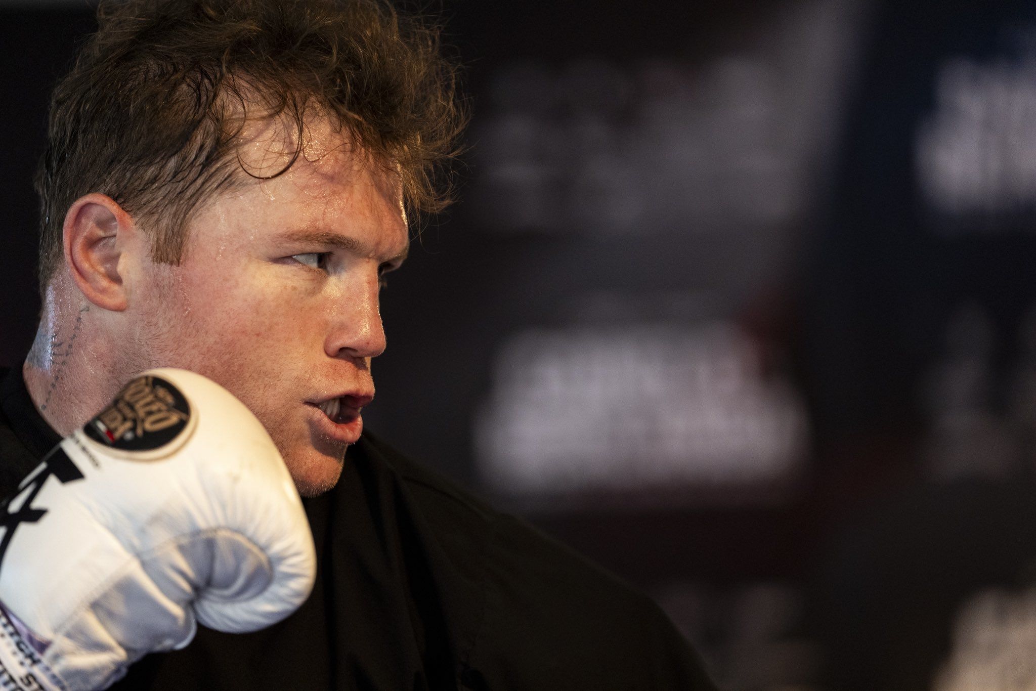 Canelo Álvarez estará como invitado en el México vs Nueva Zalanda