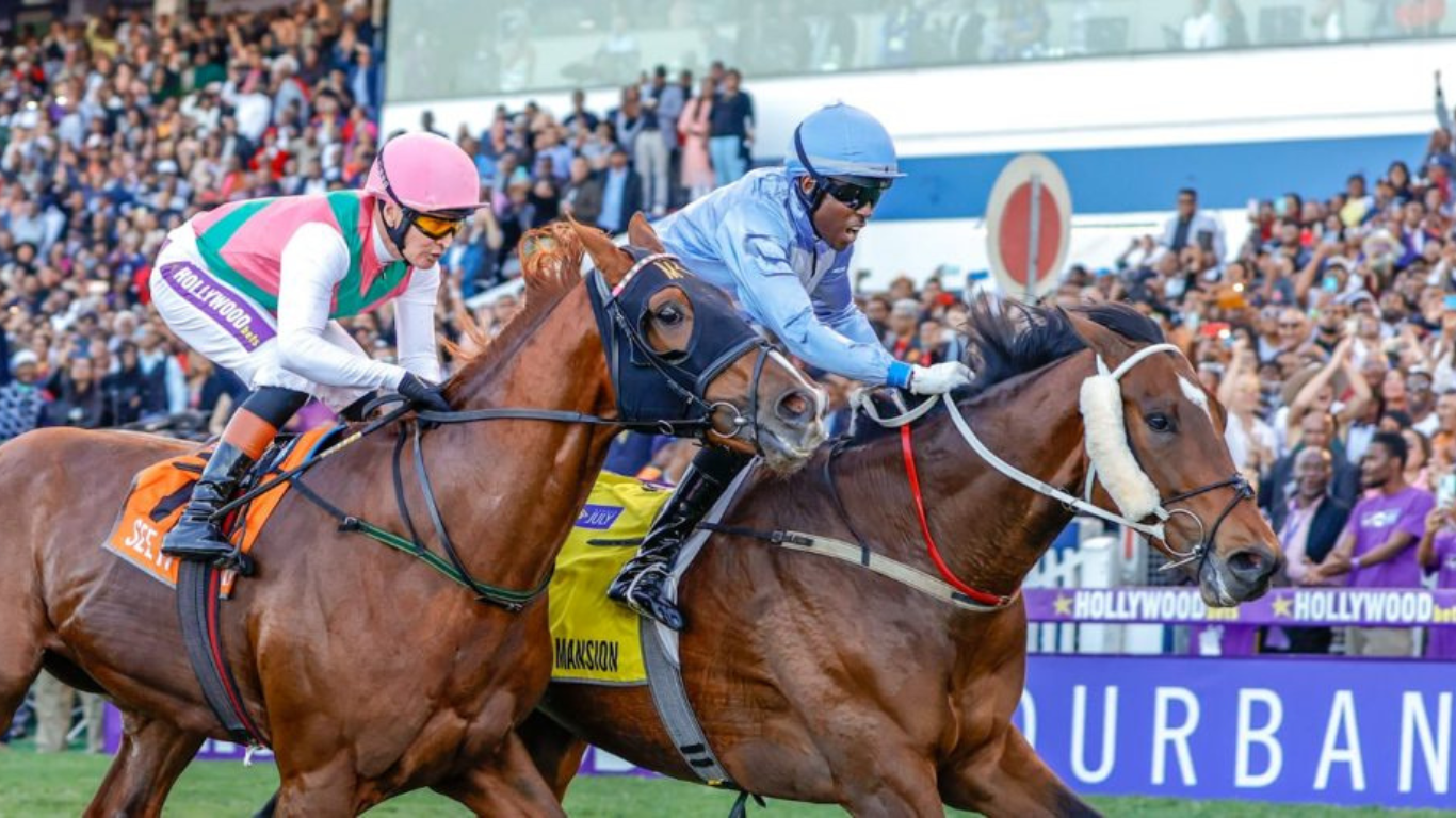Hollywoodbets Durban July 2024: Full Details on Africa’s Greatest Annual Horse Race