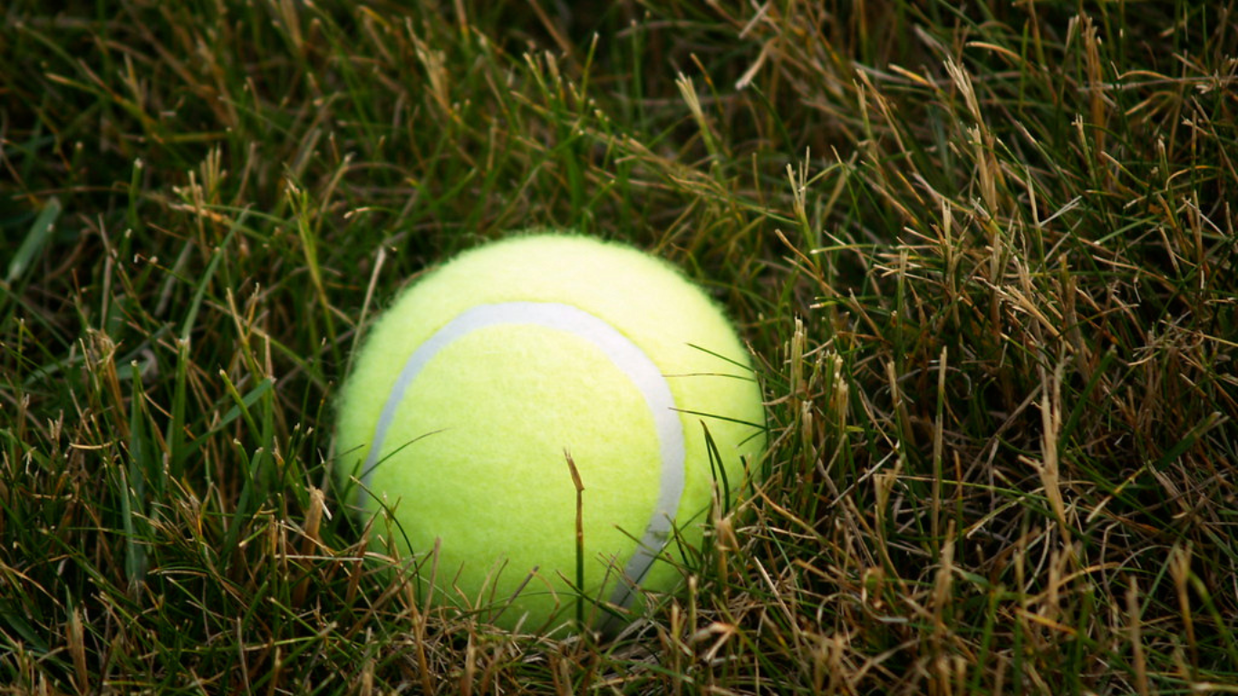 From Courts To The Wild: Find Out How Wimbledon Tennis Balls Are Recycled into Cozy Mice Homes