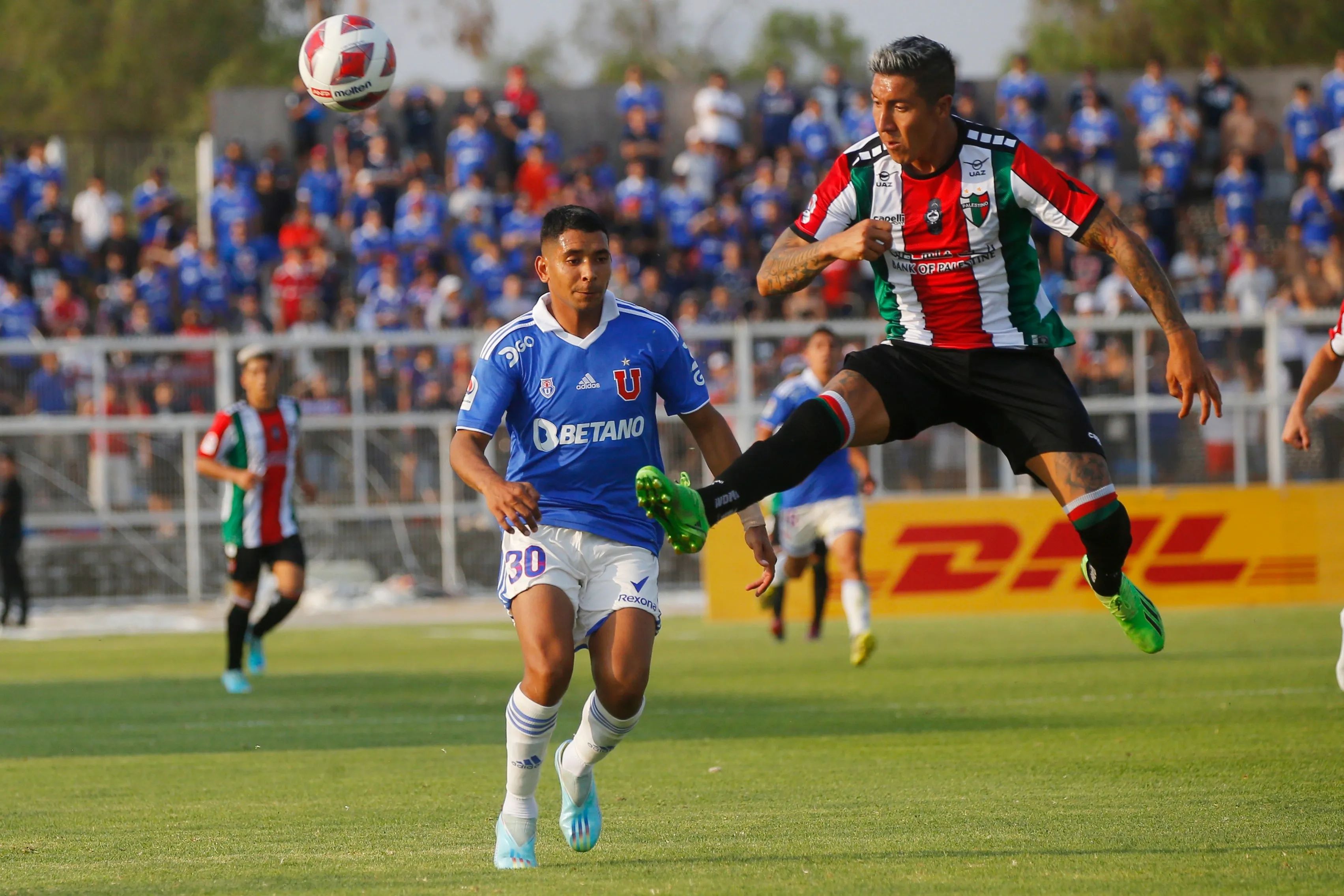 Universidad de Chile vs. Palestino. Pronostico, Apuestas y Cuotas│10 de septiembre de 2024