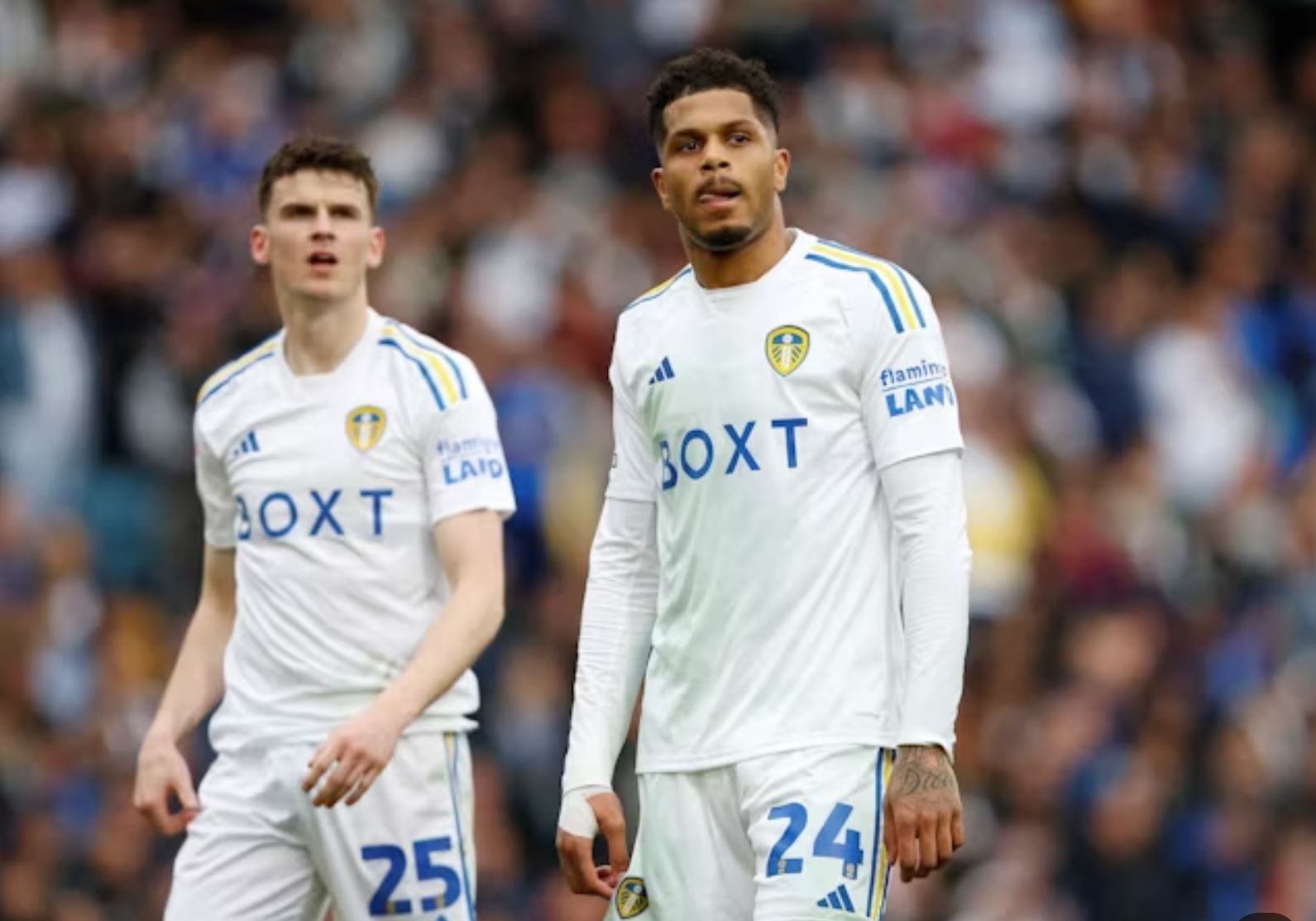 Leeds United vs Norwich City FC Prediction, Betting Tips & Odds │16 MAY, 2024