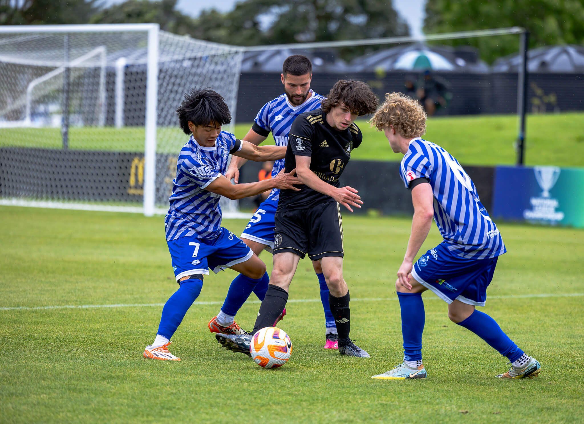 Wellington Phoenix vs Auckland FC Prediction, Betting Tips and Odds | 02 November 2024