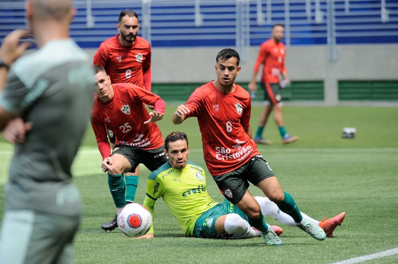 Portuguesa vs. Palmeiras. Pronostico, Apuestas y Cuotas│29 de febrero de 2024