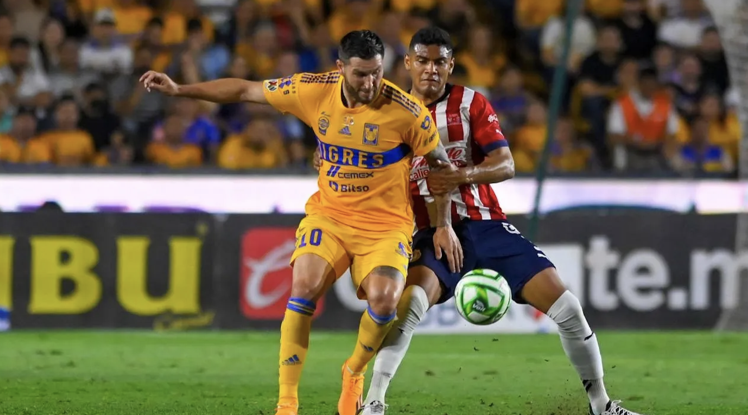 Tigres vs Guadalajara. Pronóstico, Apuestas y Cuotas | 25 de agosto de 2024