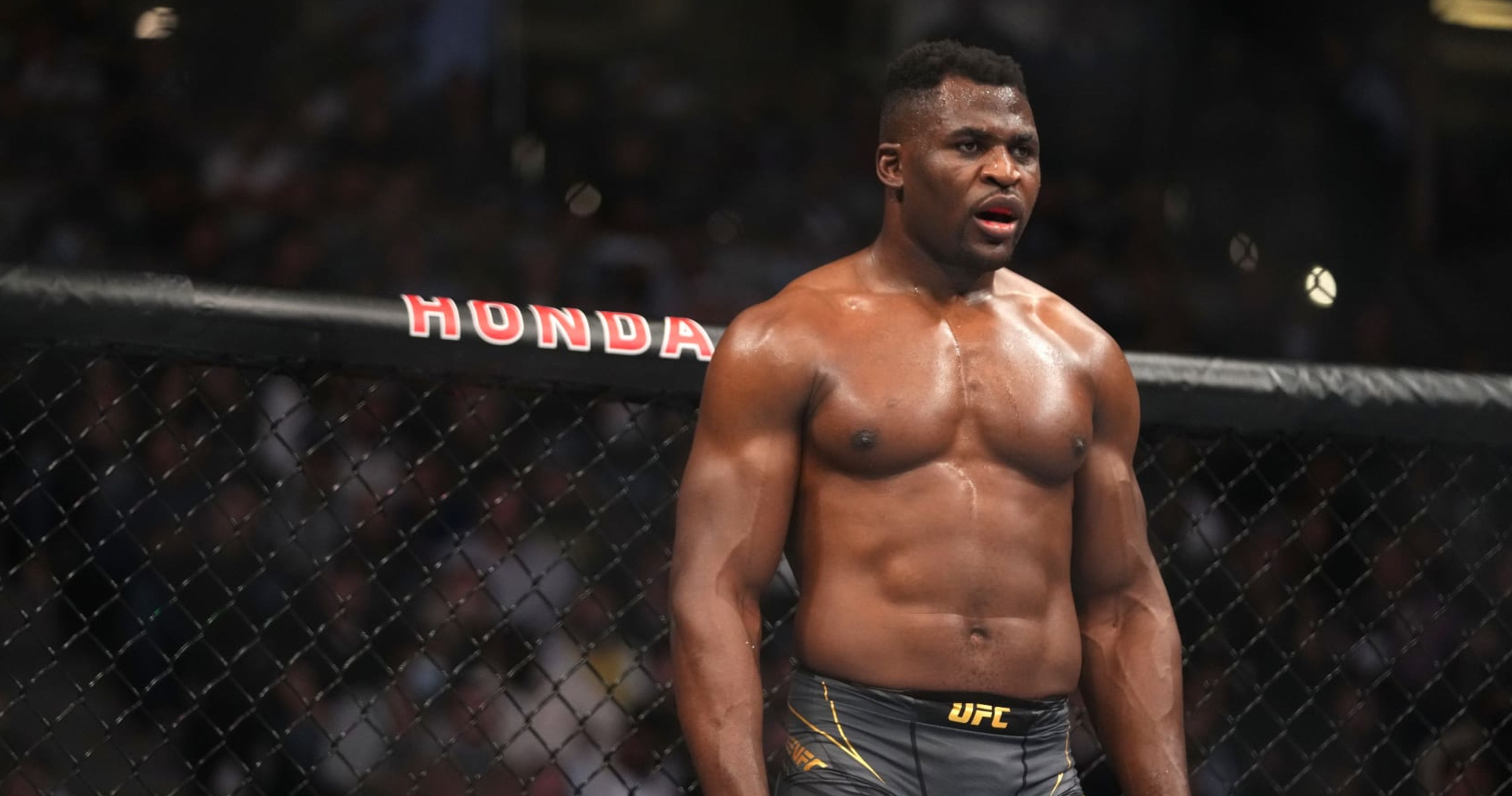 Former UFC champion Ngannou meets Schwarzenegger