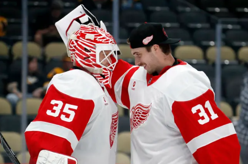 NAS Predators vs DET Red Wings Prediction, Betting Tips & Odds │19 OCTOBER, 2024