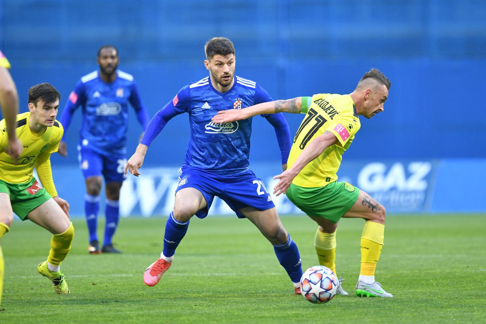 Istra 1961 vs Dinamo Zagreb Prediction, Betting Tips & Odds | 19 OCTOBER 2024