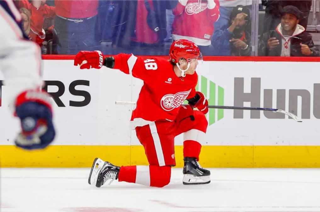 Detroit Red Wings vs Buffalo Sabres Prediction, Betting Tips & Odds │3 NOVEMBER, 2024