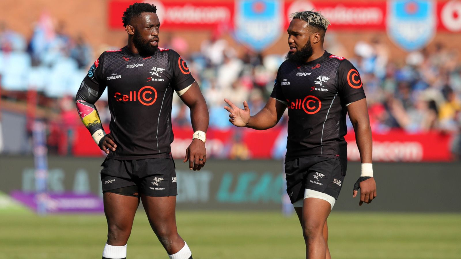 Sharks vs Bulls Prediction, Betting Tips & Odds │21 DECEMBER, 2024