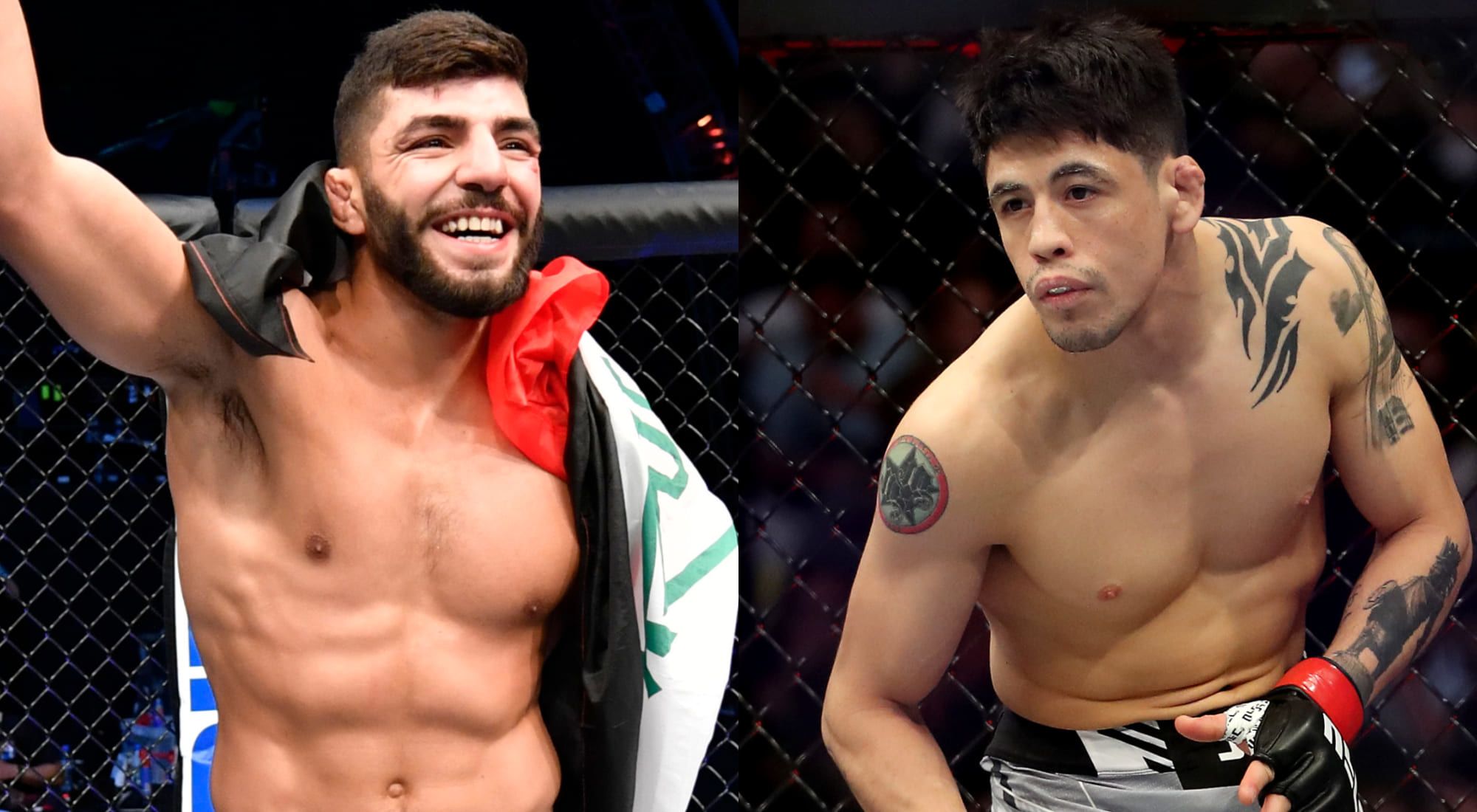 Brandon Moreno vs. Amir Albazi