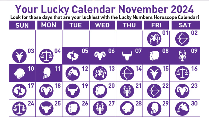 Hollywoodbets SA Lucky Numbers Calender Banner