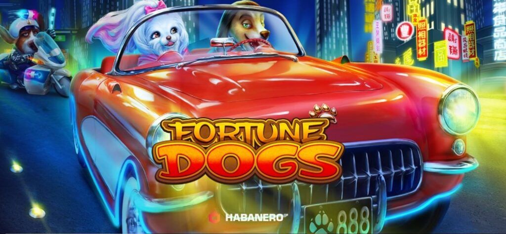 Fortune Dogs