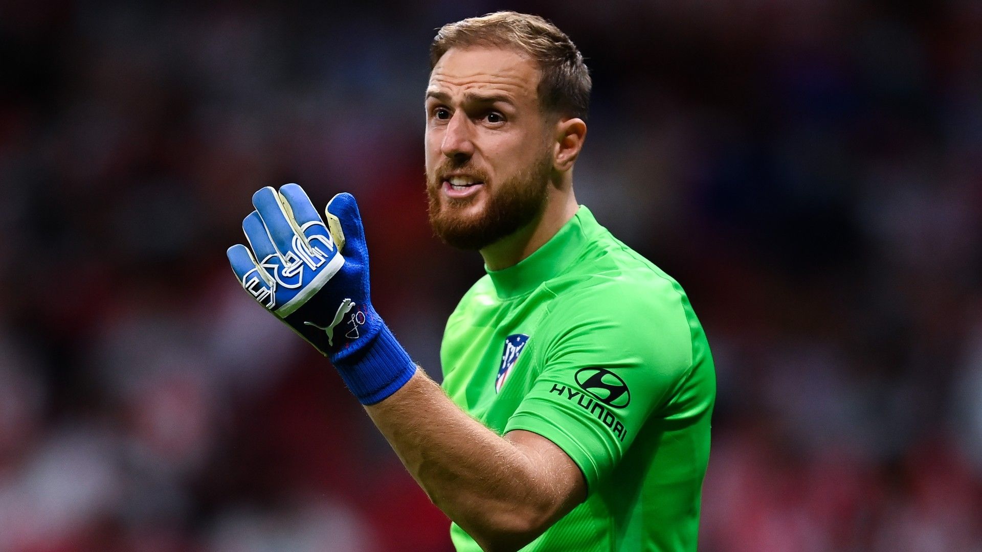 Jan Oblak