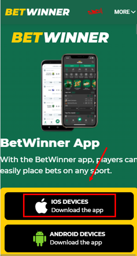 Turn Your betwinner affiliate Into A High Performing Machine