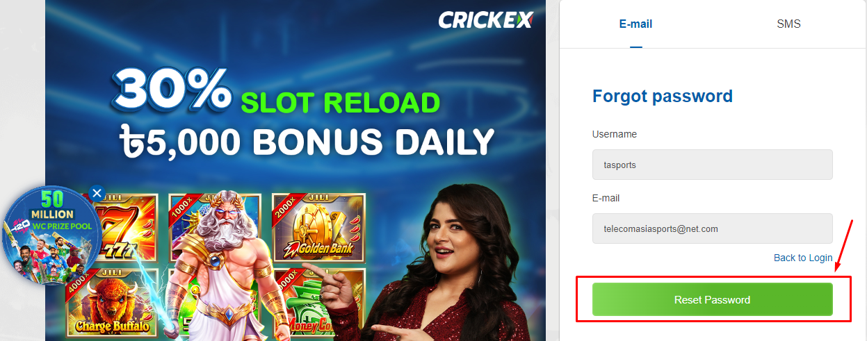 Image of the Cricket Bangladesh reset password page