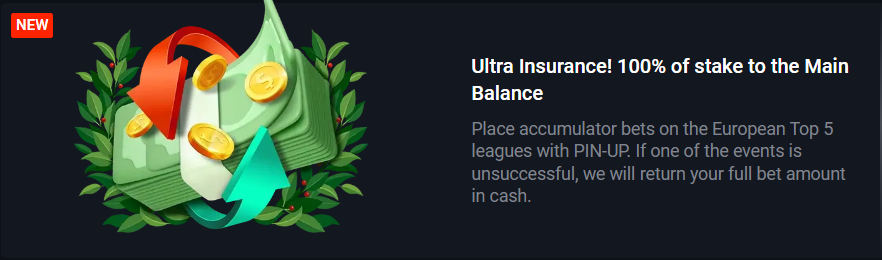 Pin Up IN Ultra Insurance 100% Of Stake To The Main Balance Banner