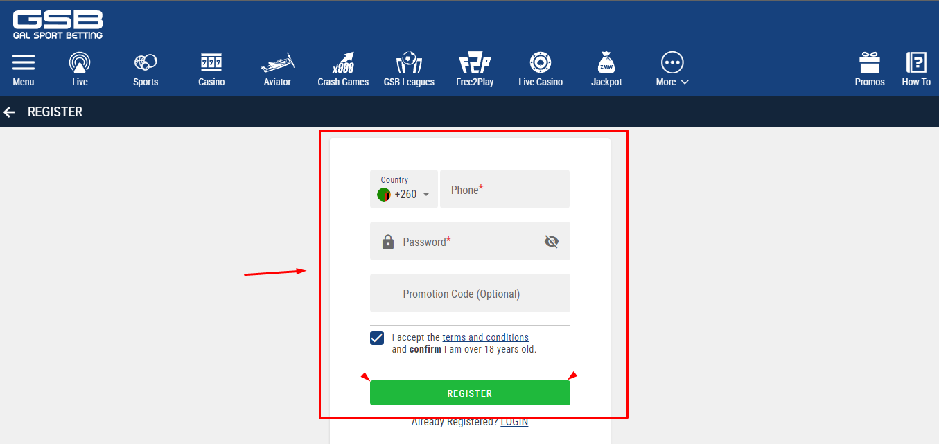 Image of GSB Zambia Registration Form